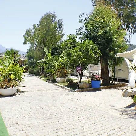 Campsite Golden Club & Caravan Holidays